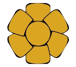 TS-1x16