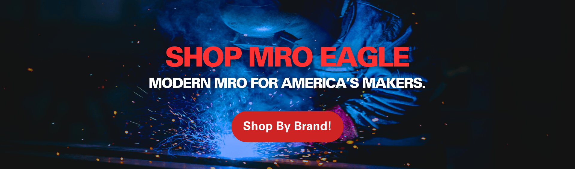 Shop by Brand banner